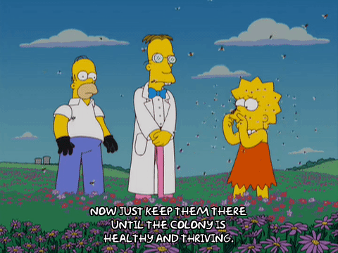Homer Simpson Bees GIF - Find & Share on GIPHY