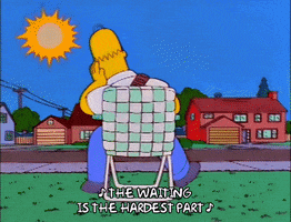 200.gif?cid=fc005b0866bed9ecefea72294ca2fffea3236cc15b598f69&rid=200.gif&ct=g