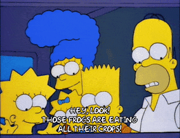 200.gif?cid=fc005b088e1ce2881bd61594a085bb6d1b4f0a372f8ed300&rid=200.gif&ct=g