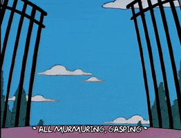 200.gif?cid=fc005b087e2561291f827b3aaac3a005ba0b2f4cb36655f4&rid=200.gif&ct=g