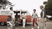 one direction bros what makes you beautiful