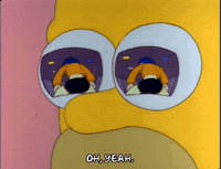 24+ Homer Simpson Gif Drool