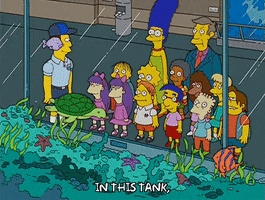 the simpsons turtle GIF