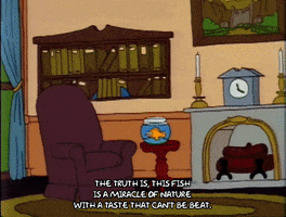 200.gif?cid=fc005b08bcb2fd786a56fb1e478a68127d33af0c154a940d&rid=200.gif&ct=g