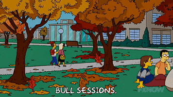 200.gif?cid=fc005b08d8541d48d576510fd4a64bf79ad45af0f57c1338&rid=200.gif&ct=g