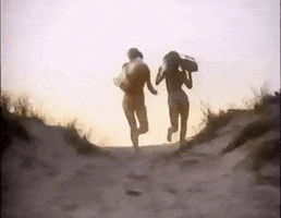 sunny beach day GIF