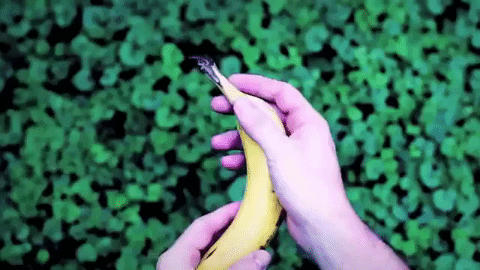 Banana GIF by Topshelf Records - Find & Share on GIPHY