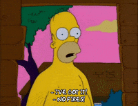 Homer Simpson Gif Find Share On Giphy Homer Simpson Gif Find Share On Giphy