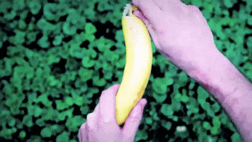 banana peel GIF by Topshelf Records