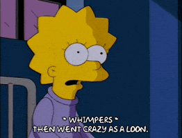 the simpsons episode 25 GIF