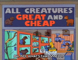 200.gif?cid=fc005b0806068dd2a0be214e713195ef91f9340abac9c674&rid=200.gif&ct=g