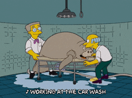Episode 1 Endangered Car Wash GIF by The Simpsons