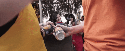 Drinking Beer Party GIF
