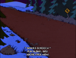 200.gif?cid=fc005b0863a8e0ebfef90e201d587507008a1510f0ac893a&rid=200.gif&ct=g