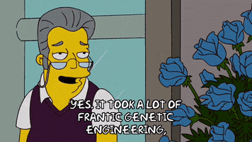 Episode 15 Yes GIF by The Simpsons