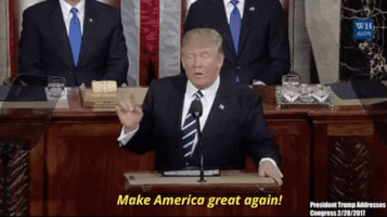 make america great again trump GIF
