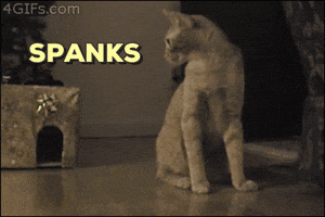cat spank you GIF by REBEKAH