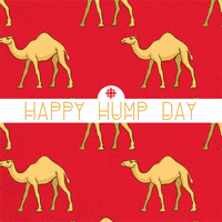 A popular animated gif celebrating the midpoint of the week, often with relatable humor.