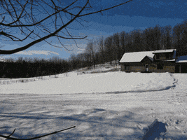 adamistics seasons daily photos GIF