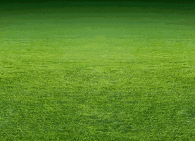 eptv  GIF