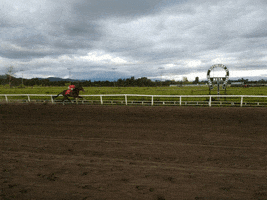australia  GIF