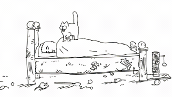 daviddaniels-9987  GIF