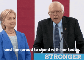 hfa-hq bernie hillary GIF