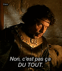 zorrogif kaamelott leodagan GIF