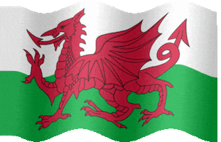 mondays wales welsh flag wales flag GIF
