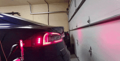 cadiethompson  GIF