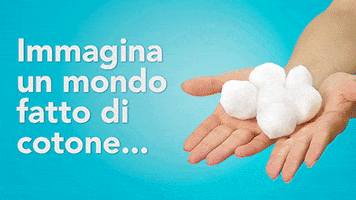 originalcotton  GIF