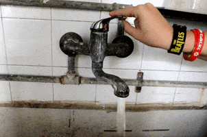 aviv  GIF