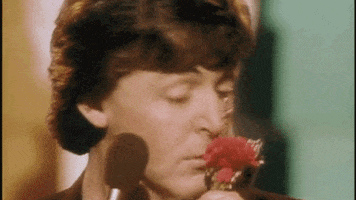 Happy Anniversary Flowers GIF by Paul McCartney