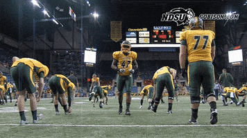 north dakota state football GIF by NDSU Athletics