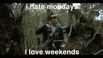 Monday GIF by gnash