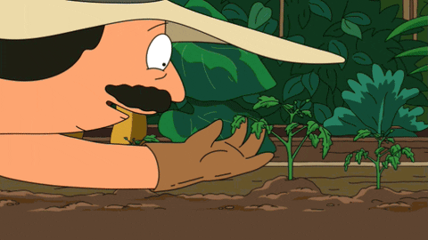 Fox Tv GIF by Bob's Burgers - Find & Share on GIPHY
