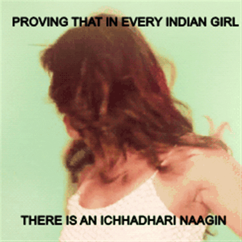 crackpot pc priyanka chopra piggy chops peecee GIF