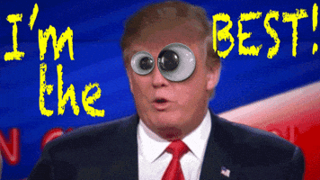 Dumb Trump GIFs - Get the best GIF on GIPHY
