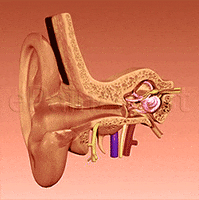 earache ear pain information center GIF by ePainAssist