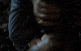 maziartaran  GIF