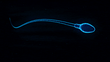 x-ray swimming GIF by Matthew Butler