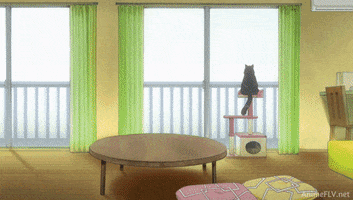 neko makoto shinkai kanojo GIF