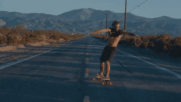 wearebigbeat skateboard reddit longboard skrillex GIF