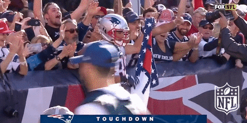 Danny Amendola GIFs - Get the best GIF on GIPHY