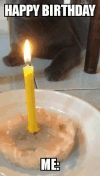 Birthday-crazy GIFs - Get the best GIF on GIPHY
