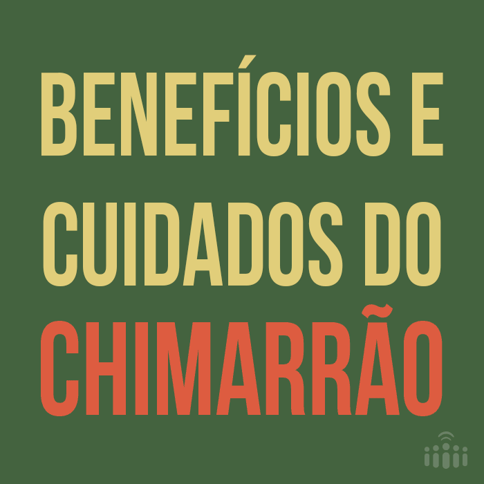telers  GIF