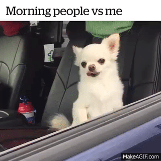 irelden  GIF