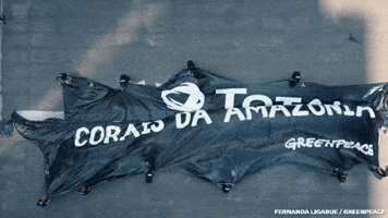 greenpeacebrasil banner rio de janeiro total greenpeace GIF