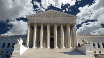 court judge GIF by Earthjustice
