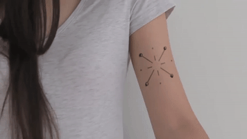 fernandocymbalukcouri  GIF